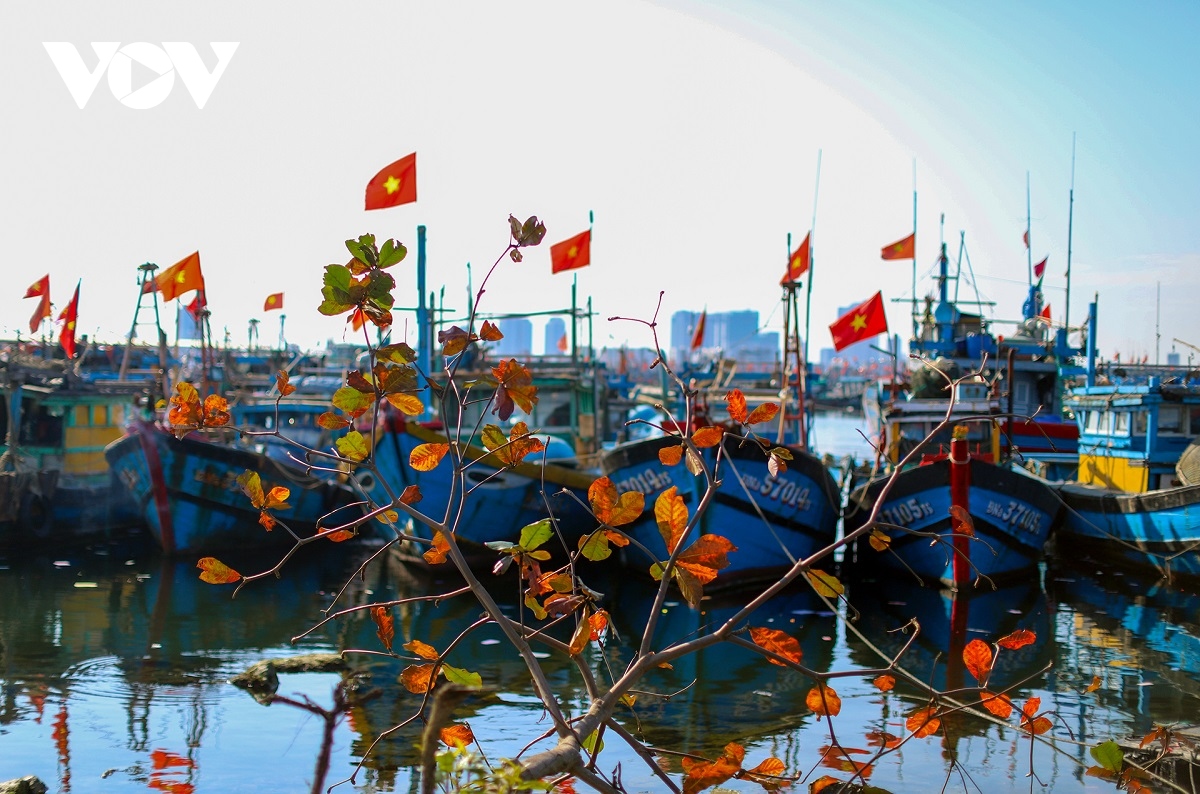 nguoi Da nang tan huong canh vang ve yen tinh hiem co ben song han hinh anh 9