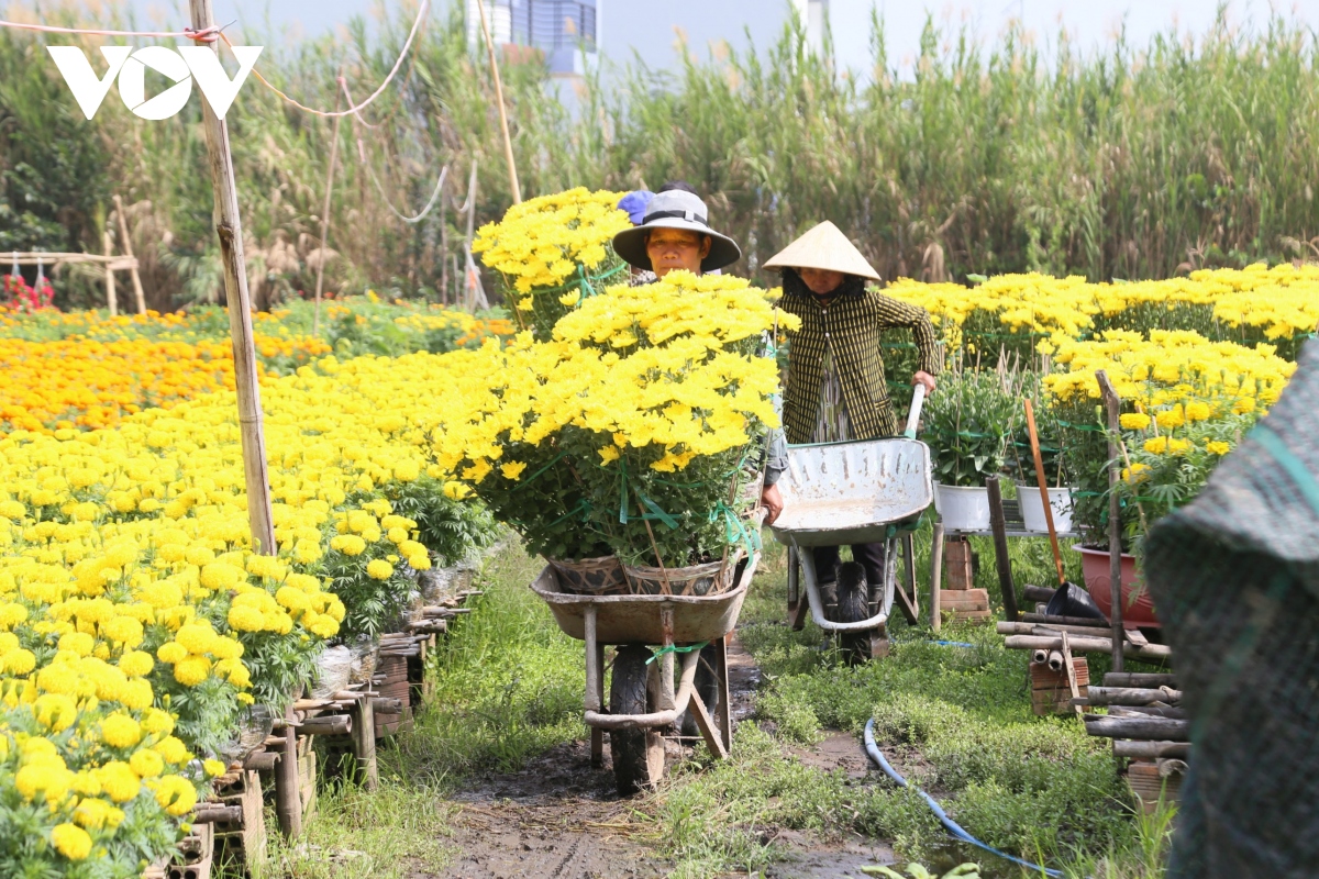 lang hoa pho tho - ba bo nhung ngay giap tet hinh anh 12