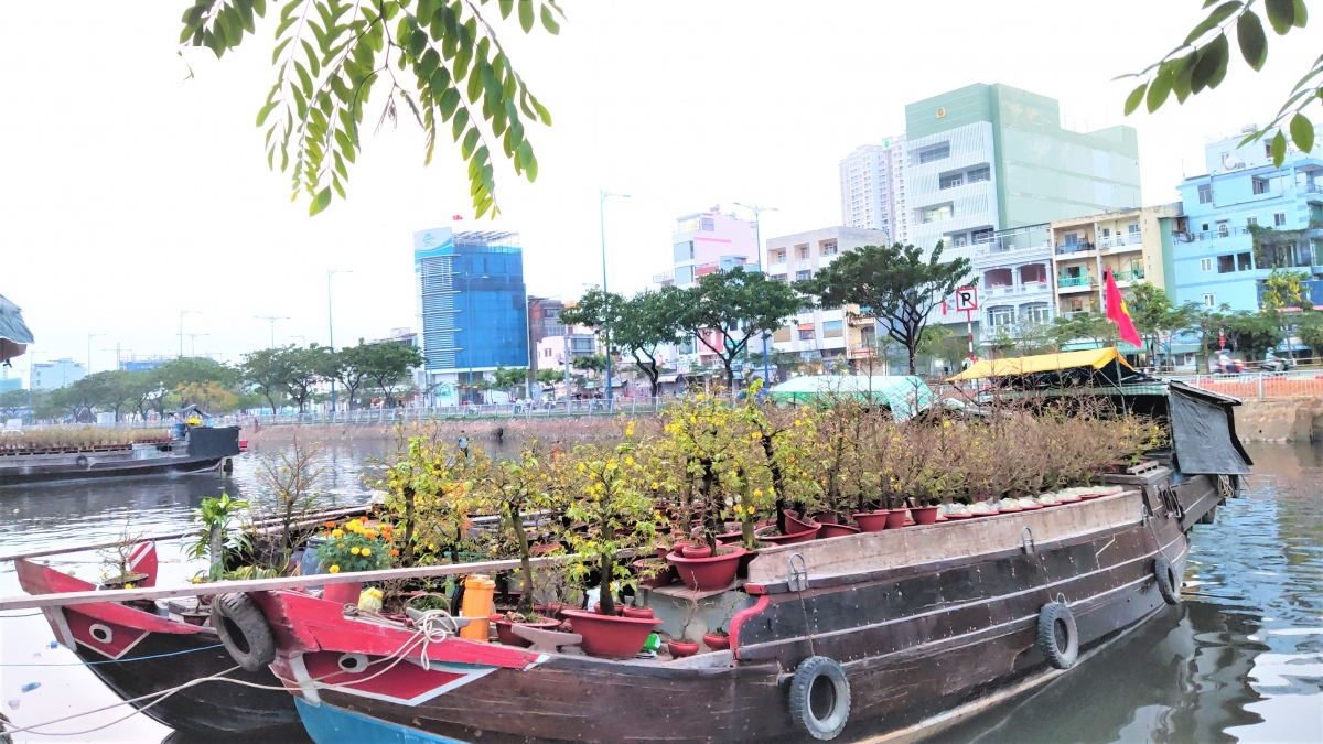 khai mac hoi hoa xuan tren ben duoi thuyen o tphcm hinh anh 1