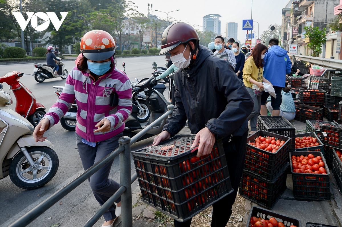 nguoi dan ha noi giai cuu nong san cho ba con hai duong hinh anh 3