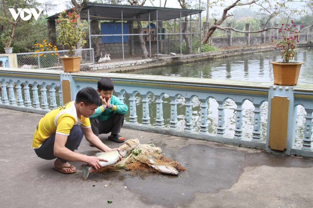 tim hieu cach che bien dac san ca bong ngay tet o luc yen, yen bai hinh anh 4