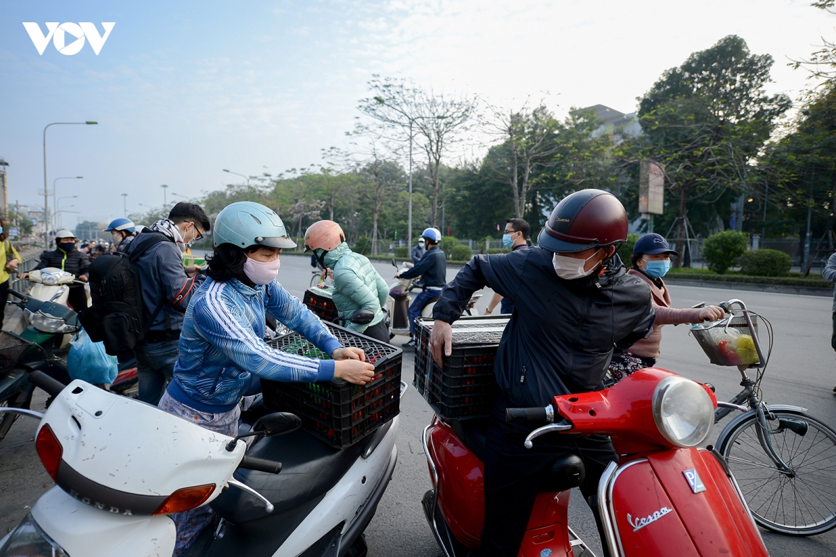 nguoi dan ha noi giai cuu nong san cho ba con hai duong hinh anh 5