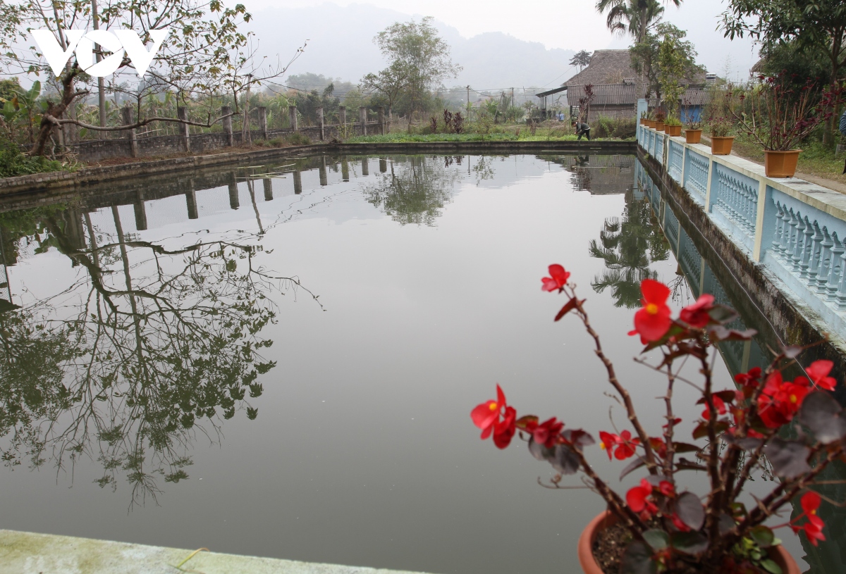 ca bong net van hoa am thuc ngay tet cua dong bao tay luc yen hinh anh 2