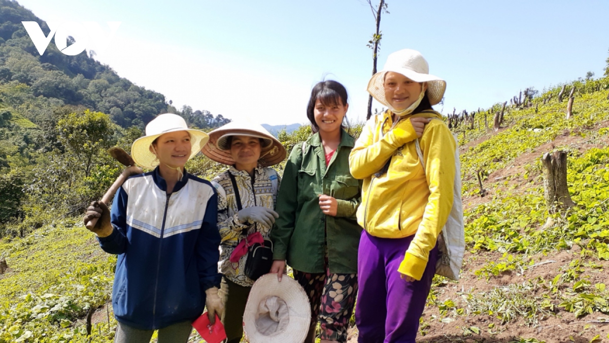 htx cong dong phu nu Dak vien kon tum Diem tua thoat ngheo cua phu nu xe Dang hinh anh 3