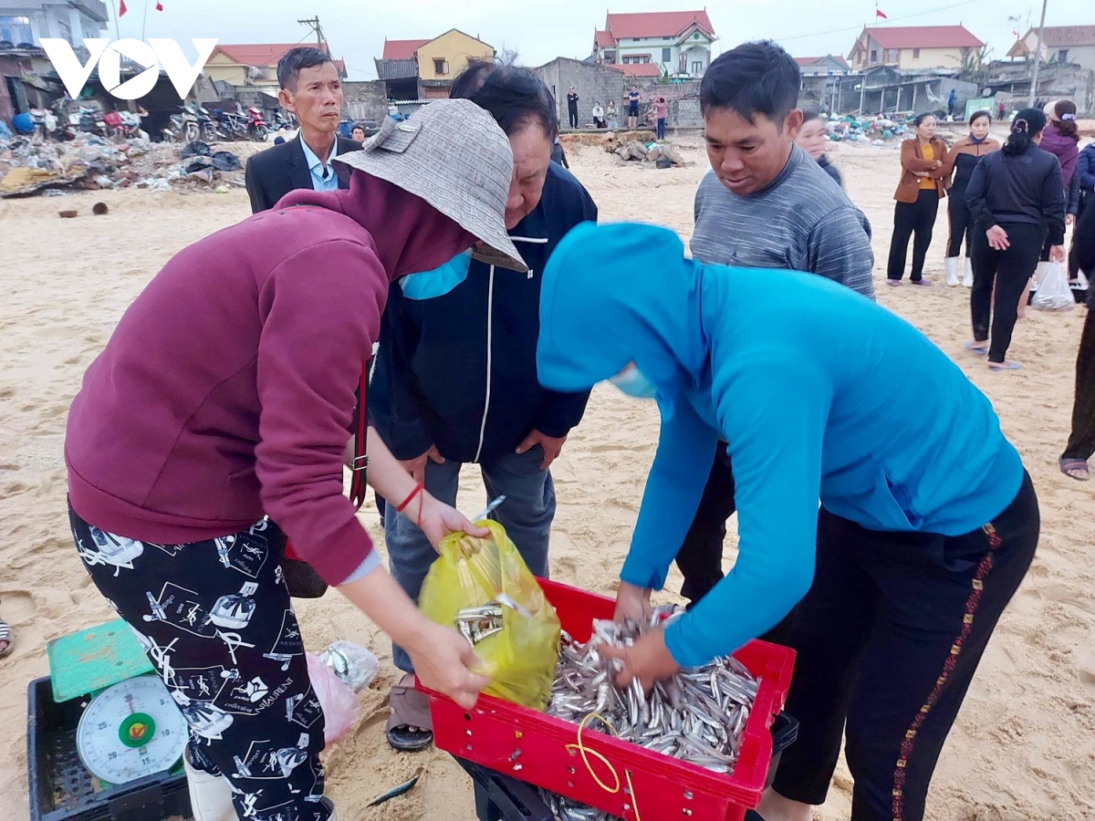 ca com, ruoc bien giup ngu dan quang binh co thu nhap cao hinh anh 2