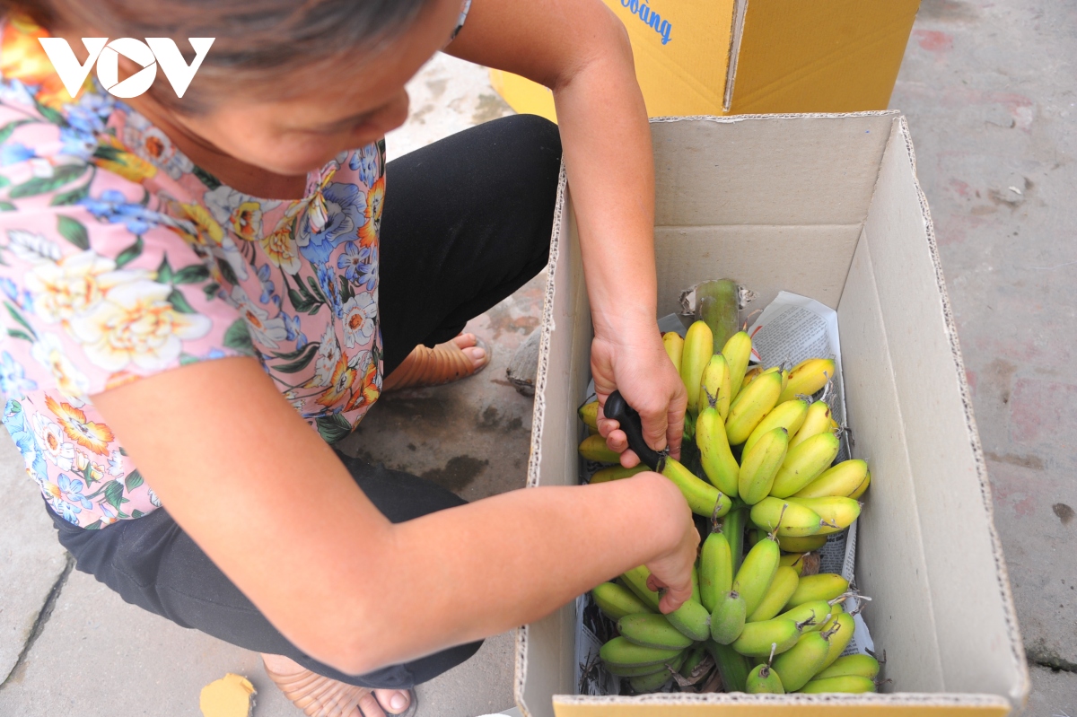 ve lang Dai hoang san chuoi ngu tien vua hinh anh 8