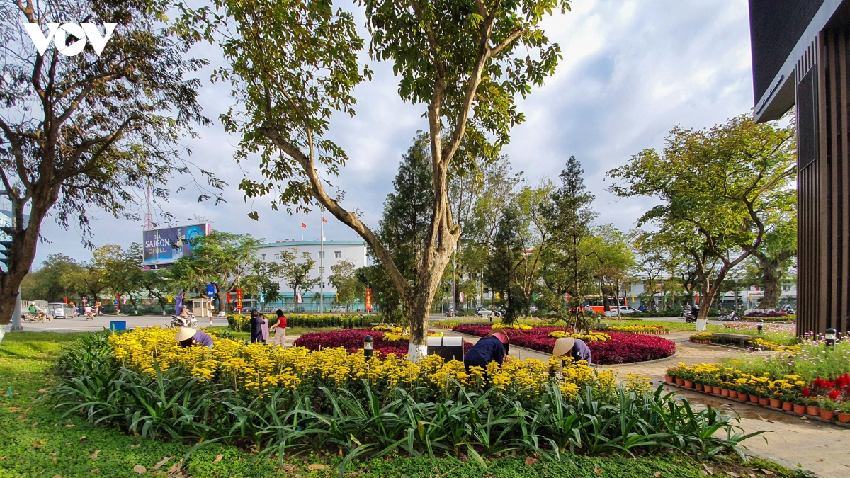 co mot goc xuan giua long co Do hinh anh 2
