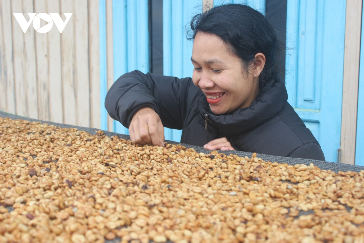 co gai k ho khoi nghiep tu ca phe arabica vang hinh anh 1