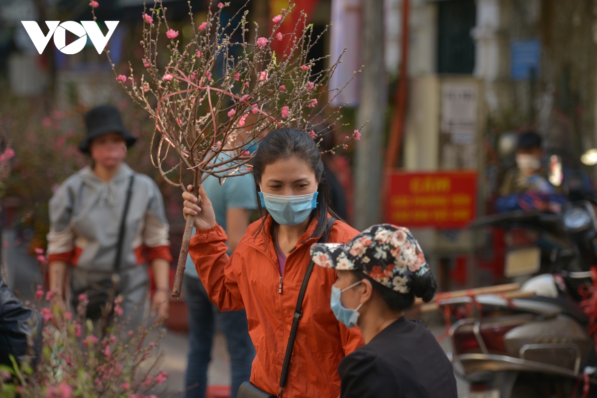 dao quanh cho hoa tet truyen thong o pho co ha noi hinh anh 4