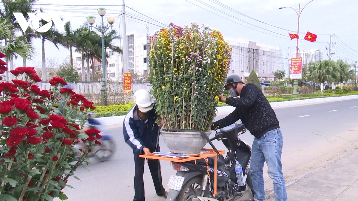 suc mua hoa tet o phu yen bat dau tang, gia hoa giam so voi nam ngoai hinh anh 1