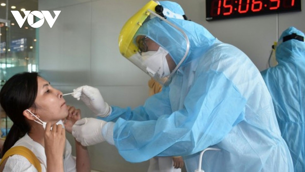 Week-long fresh coronavirus in figures