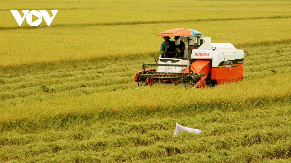 nông nghiệp vượt qua nguy cơ kép hướng đến thị trường mới hình ảnh 1 nong nghiep vuot qua nguy co kep huong den thi truong moi hinh anh 1