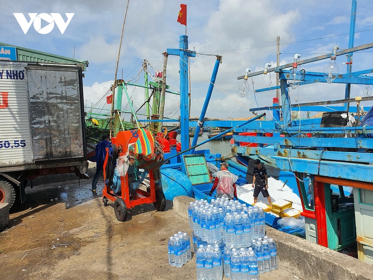 800 tau ca cua ngu dan hoai nhon dong loat ra khoi an tet tren bien hinh anh 1