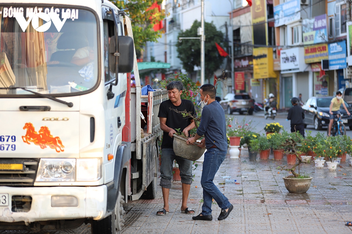 thi truong hoa, cay canh o son la van soi dong vao 30 tet, song tieu thuong phai ban lo hinh anh 4