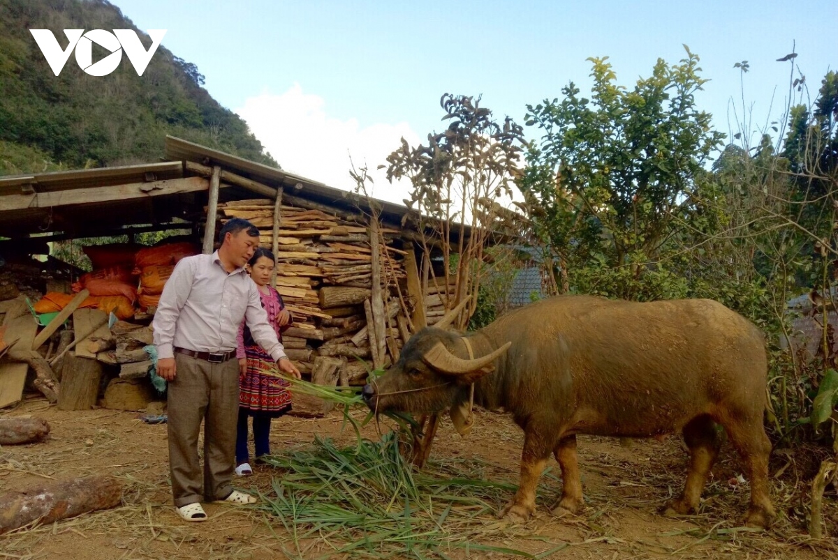 tay bac hien thuc hoa khat vong thoat ngheo hinh anh 3