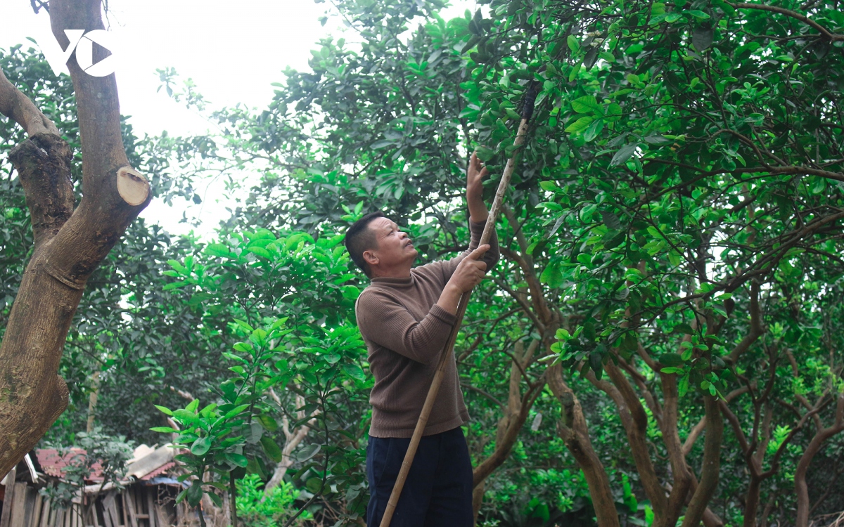  Dot nhap thu phu buoi dien nhung ngay can tet hinh anh 11