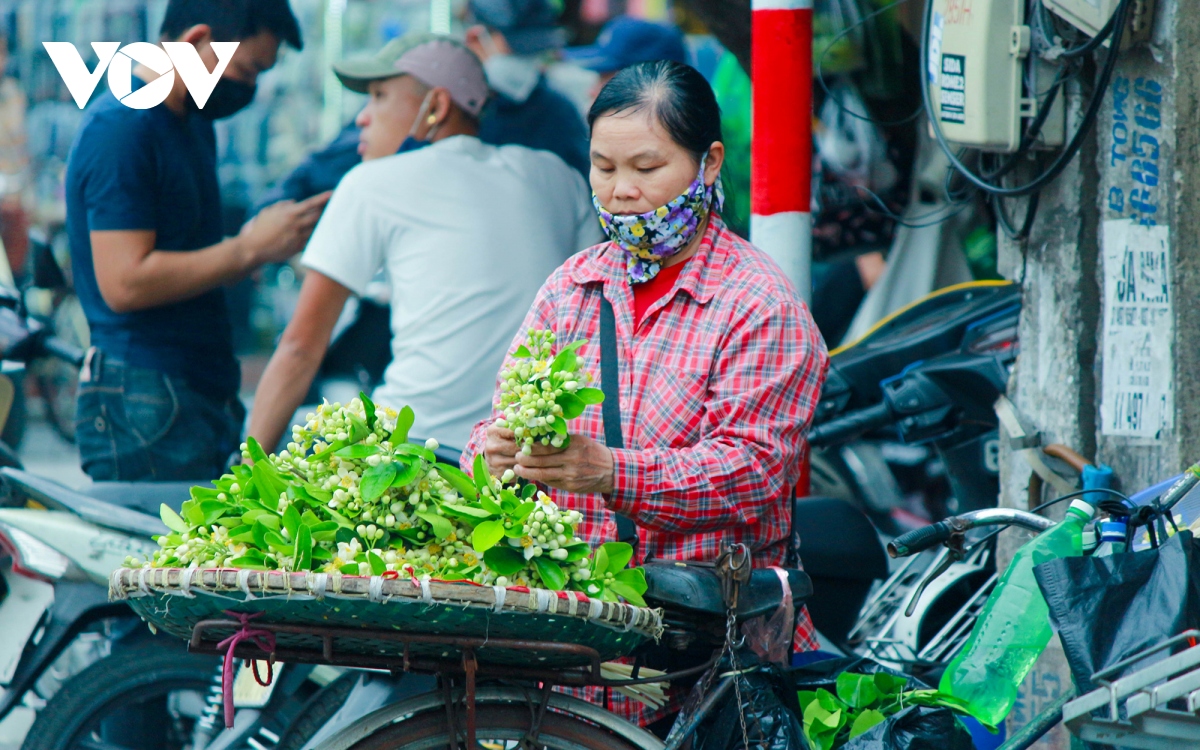 co mot ha noi ngat thom mua hoa buoi hinh anh 3