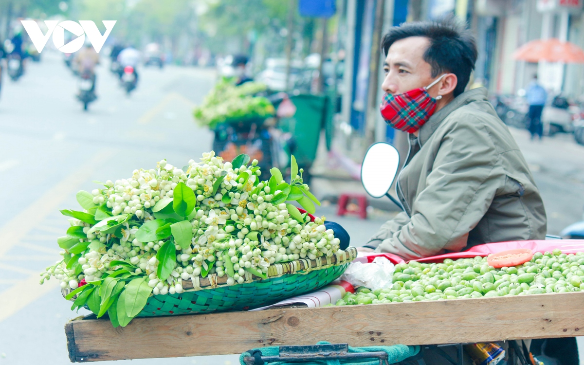 co mot ha noi ngat thom mua hoa buoi hinh anh 13