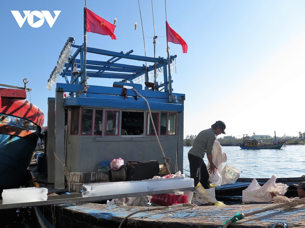 ron rang mua bien moi, ngu dan quang ngai san loc dau nam hinh anh 1