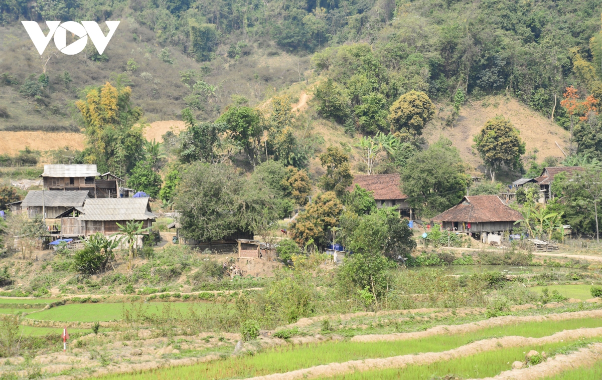  tin dung den va nhung he luy o vung cao Dien bien hinh anh 1