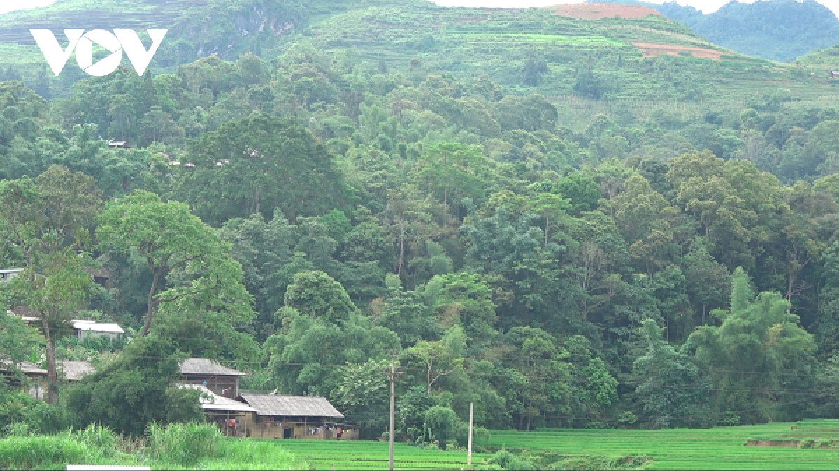 nghi le cung rung cua nguoi mong duoc cong nhan di san van hoa phi vat the quoc gia hinh anh 1