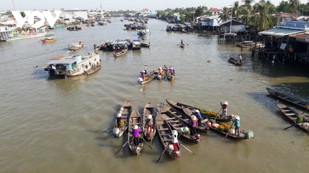 Diu hiu lang co Dong hoa hiep o tien giang hinh anh 4