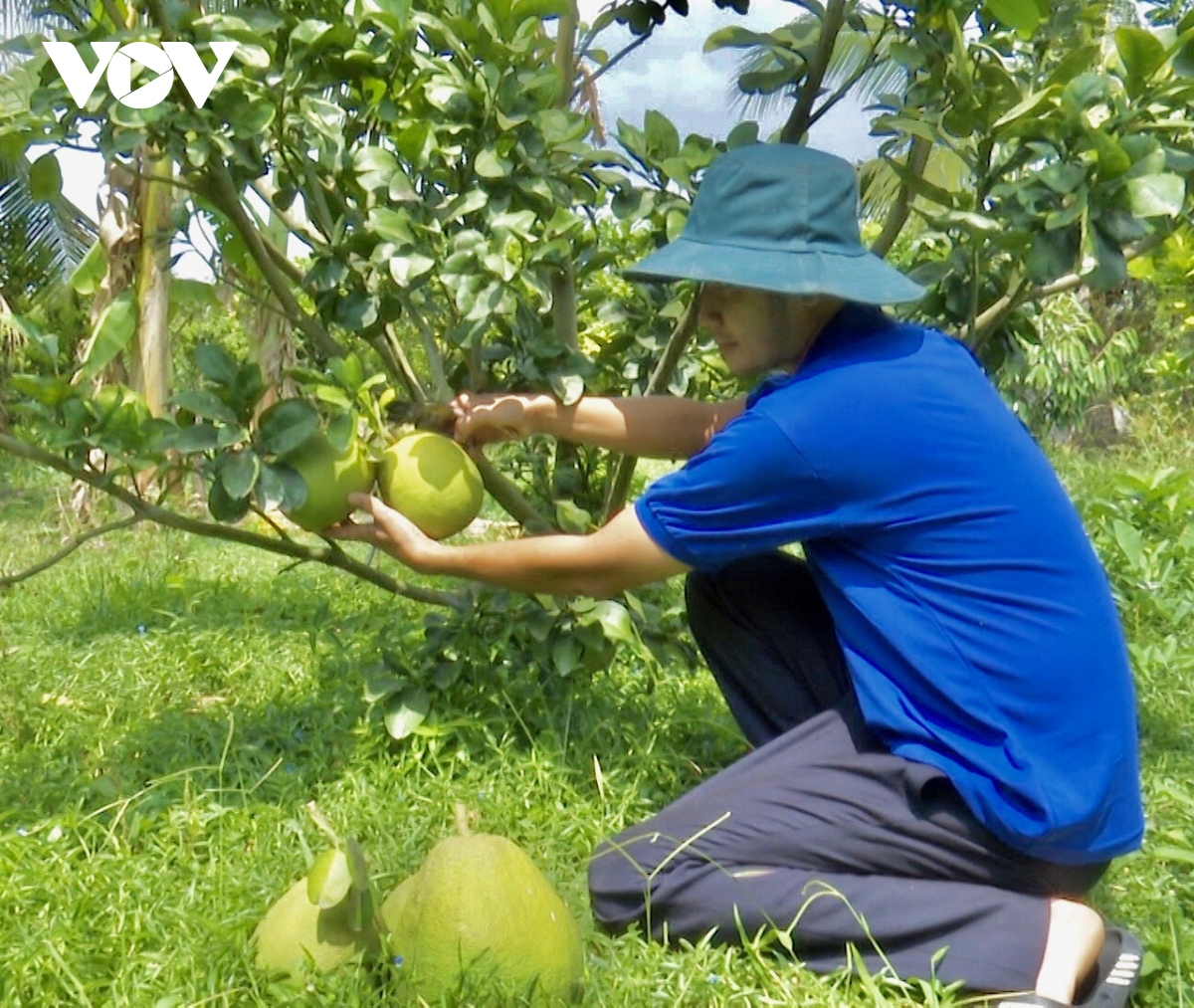 nhieu thanh nien khoi nghiep thanh cong tren que huong hinh anh 2