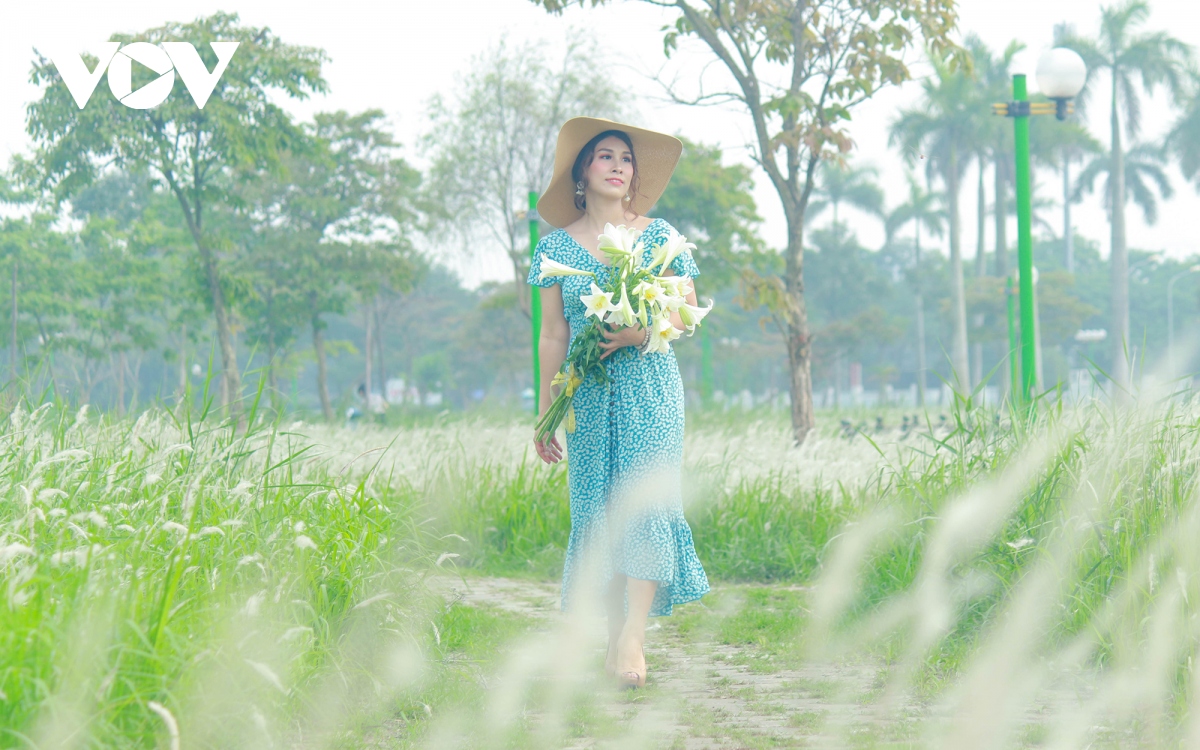 chim dam trong sac trang tinh khoi cua hoa co lau giua ha noi hinh anh 11