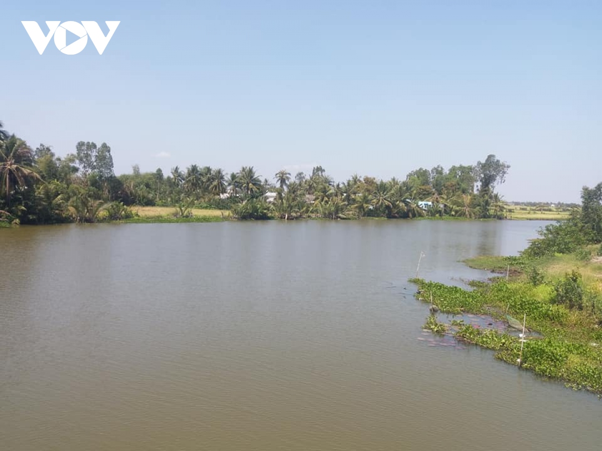 tien giang no luc cuu hon 15.000 ha lua, hoa mau, cay an trai vung han man hinh anh 3