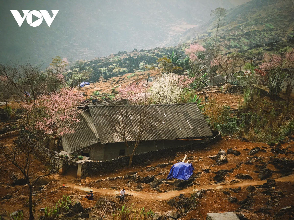 Thanh xuân, nhất định phải đi Hà Giang một lần | VOV.VN