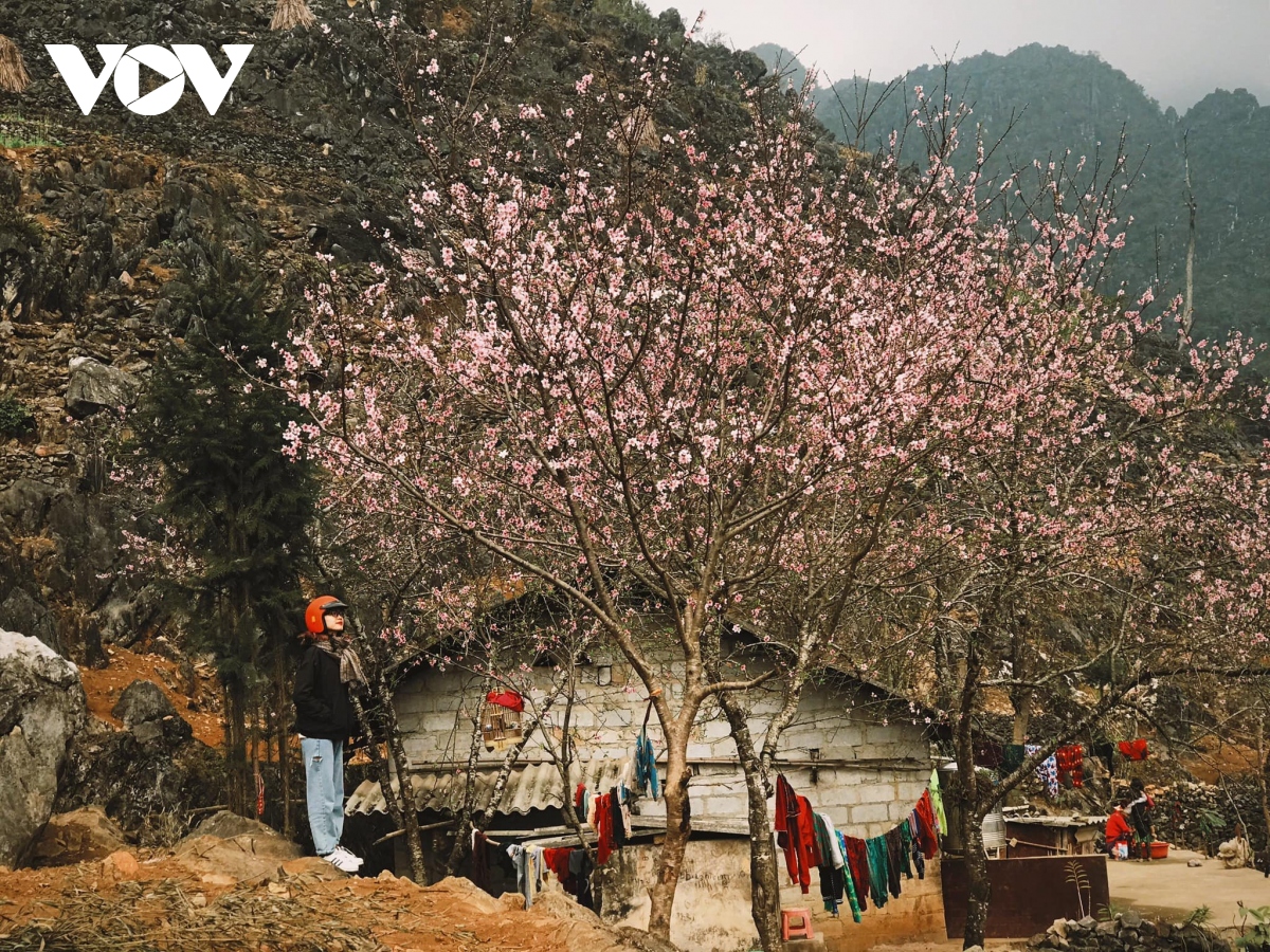 thanh xuan, nhat dinh phai di ha giang mot lan hinh anh 7