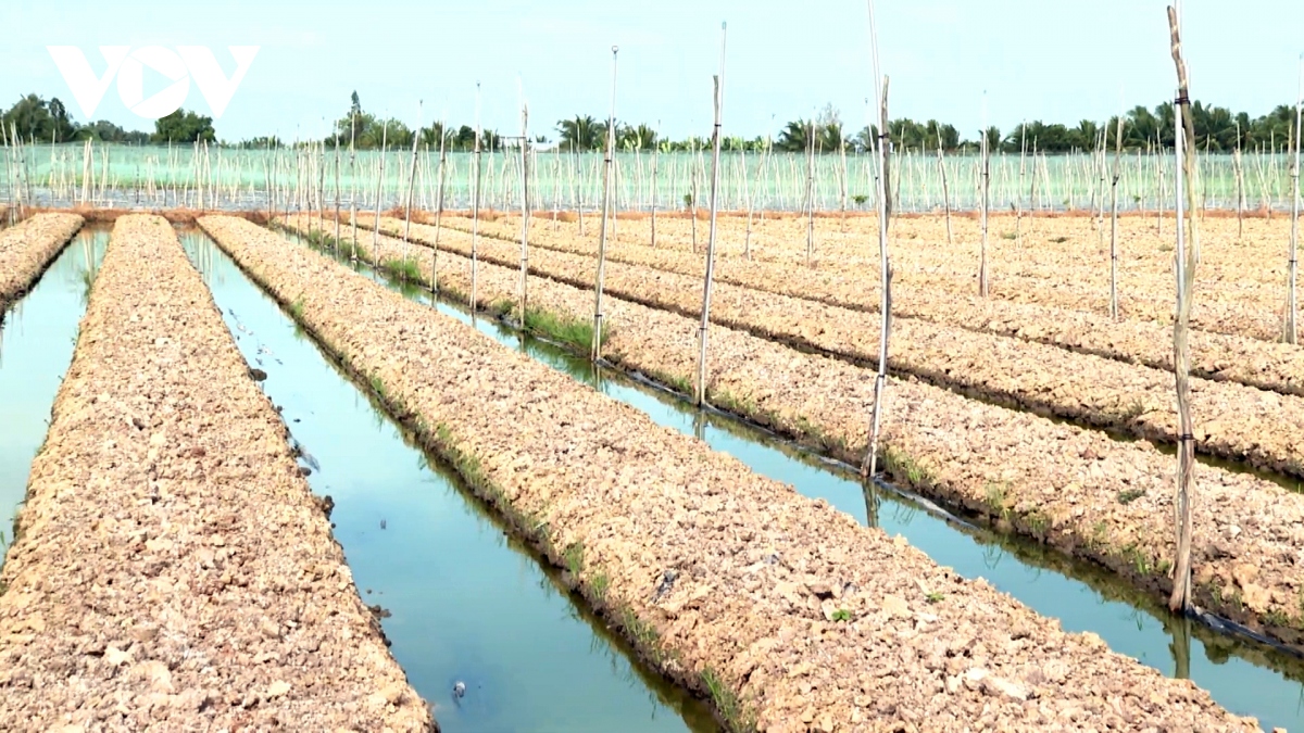 phan bon tang gia doanh nghiep lan nong dan cung gap kho hinh anh 3