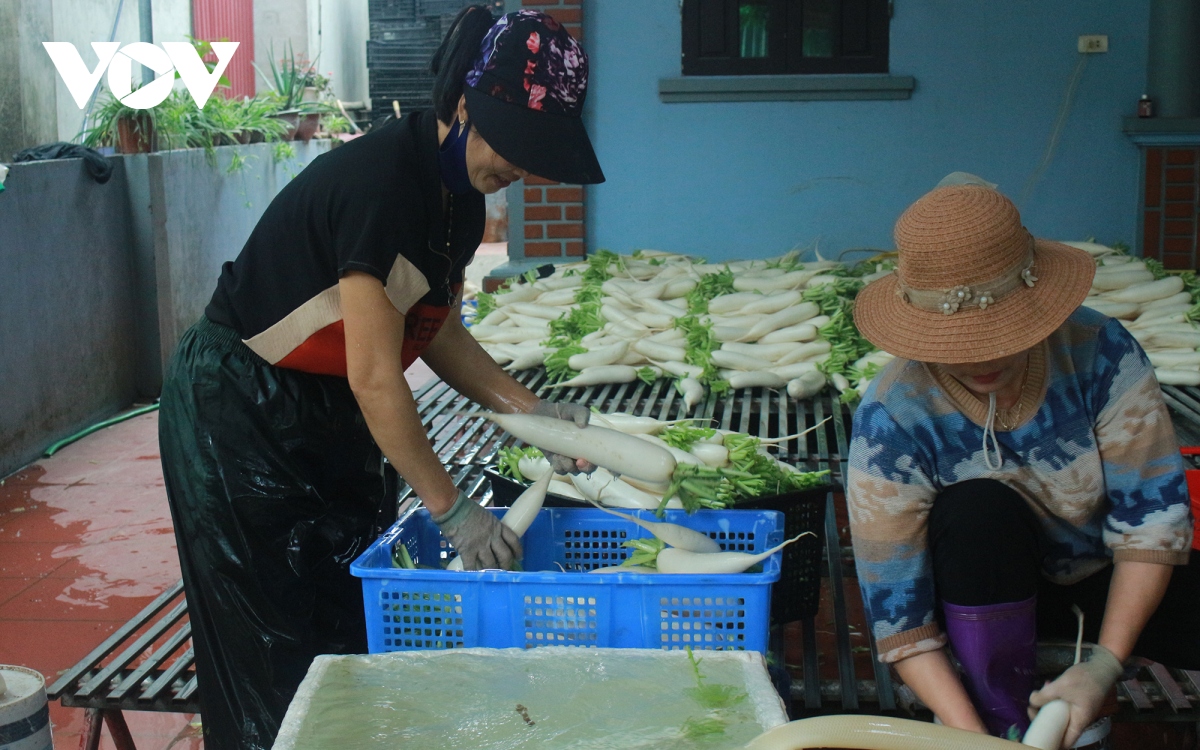 gia qua re, nong dan ha noi vut bo cu cai, ca chua...day dong vi e am hinh anh 11