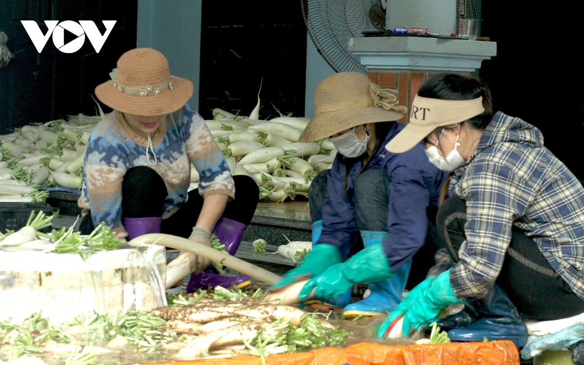 gia qua re, nong dan ha noi vut bo cu cai, ca chua...day dong vi e am hinh anh 10