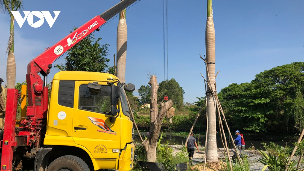 chủ quán cà phê lấp rạch bà lụa ở bình dương bị phạt 175 triệu đồng hình ảnh 2 chu quan ca phe lap rach ba lua o binh duong bi phat 175 trieu dong hinh anh 2