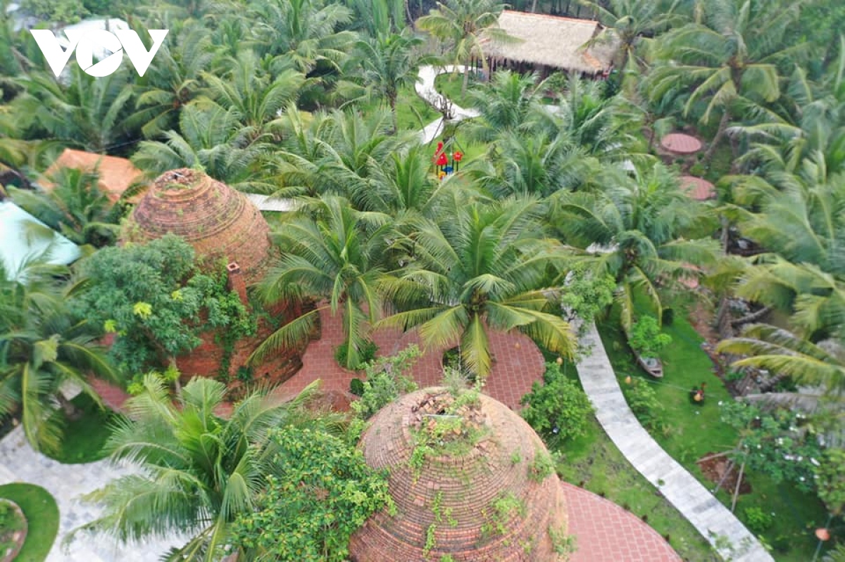 trong dua huu co, huong di tat yeu nang cao gia tri xuat khau dua ben tre hinh anh 1