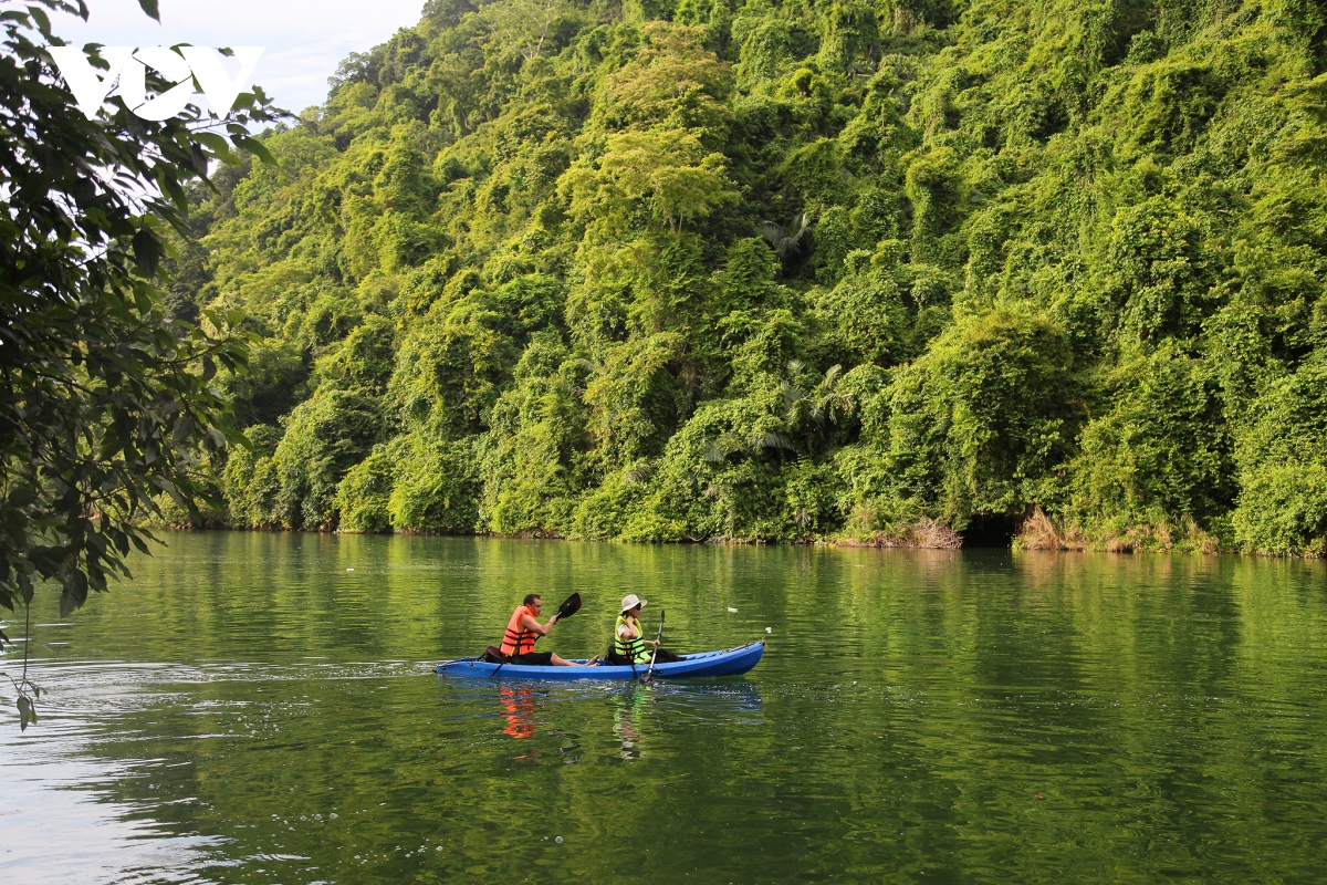 dip tet di dau nghi duong biet lap, vang nguoi hinh anh 1