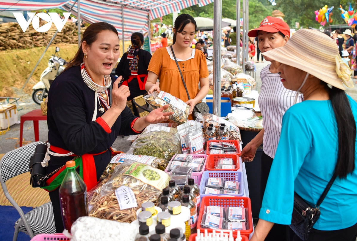 kich cau du lich sinh thai cong dong tai ba vi, ha noi hinh anh 3