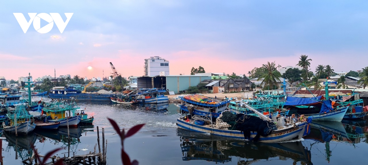 phu quoc ung pho khan cap, dam bao an toan trong dip nghi le 30 4 hinh anh 4