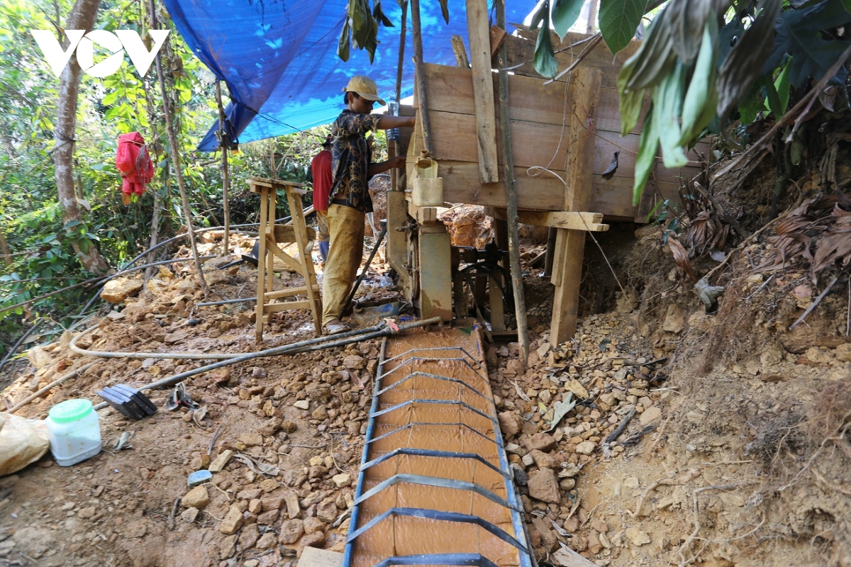  vang tac long hanh o mo vang bong mieu, quang nam hinh anh 5