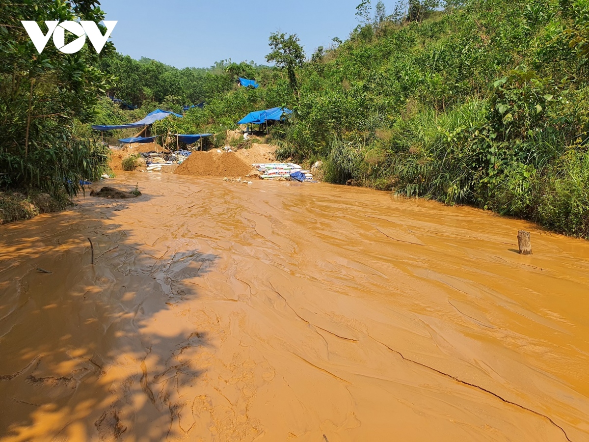  vang tac long hanh o mo vang bong mieu, quang nam hinh anh 7