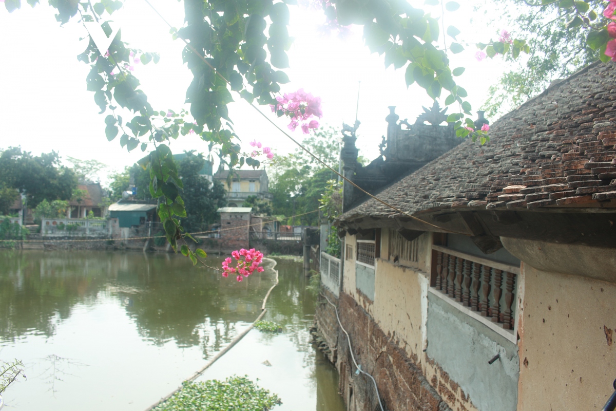 cau khum cay cau dac biet cua nguoi dan lang yen hinh anh 12