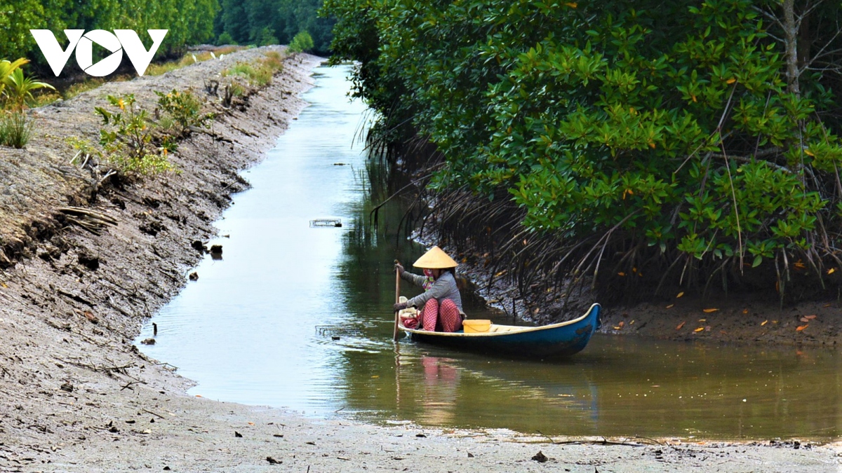  tom kho rach goc lam khong du ban hinh anh 1