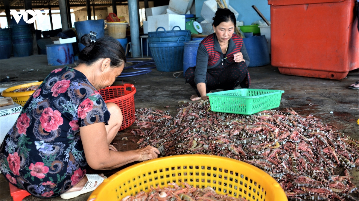 “Tôm khô Rạch Gốc” làm không đủ bán | VOV.VN