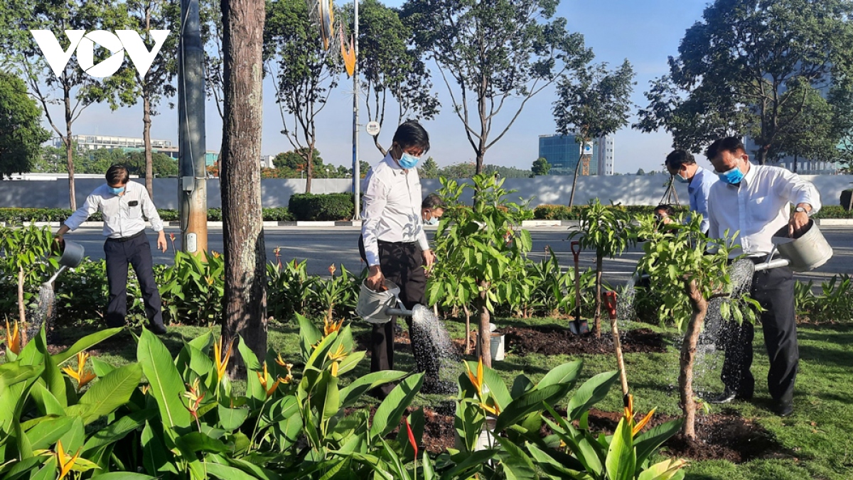 binh duong phat dong tet trong cay nho bac hinh anh 1