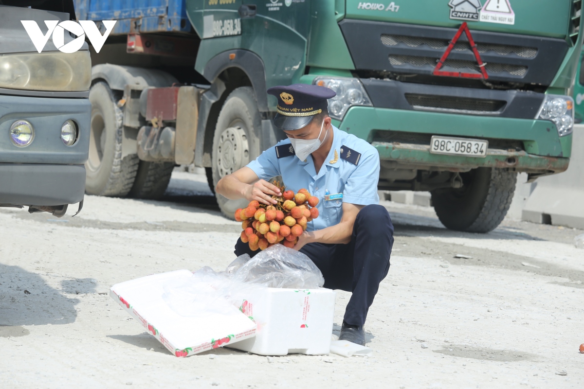 lang son uu tien thong quan xuat khau vai tuoi hinh anh 3