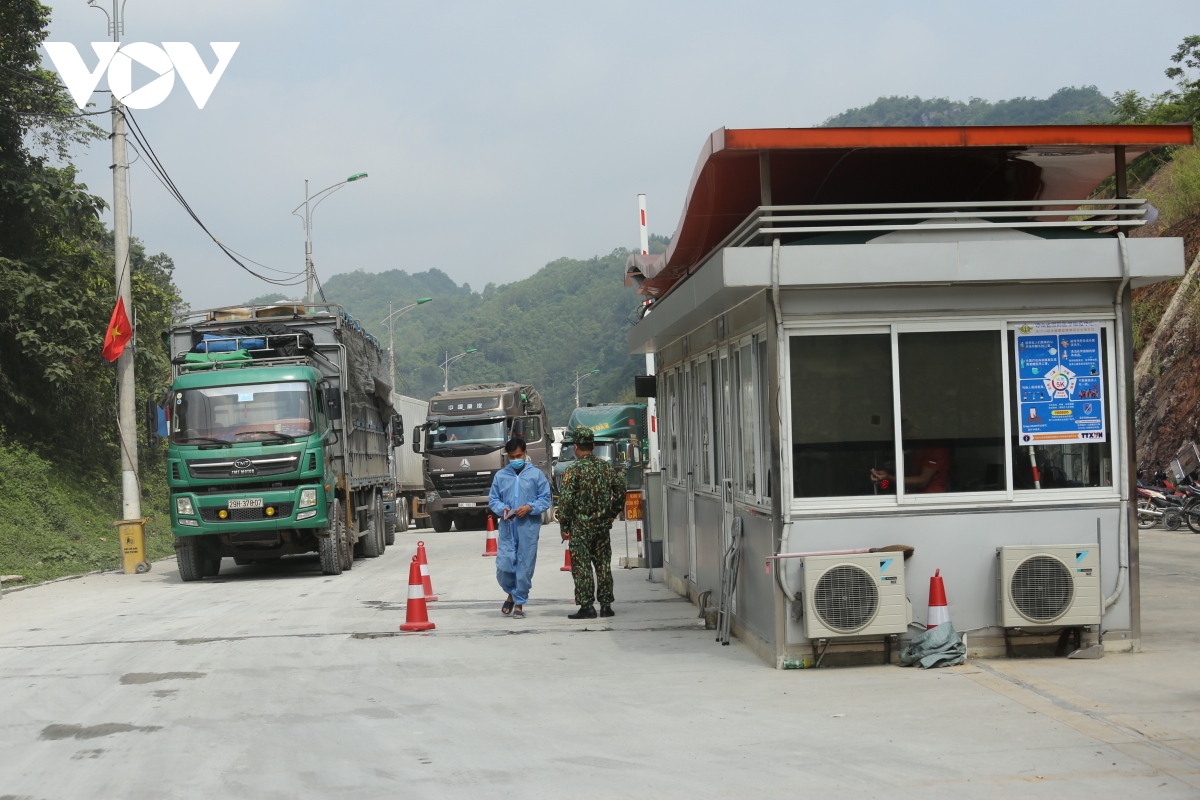 lang son uu tien thong quan xuat khau vai tuoi hinh anh 4