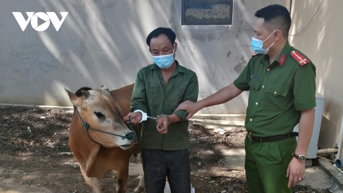 loi dung ngay bau cu, di bat trom bo hinh anh 1