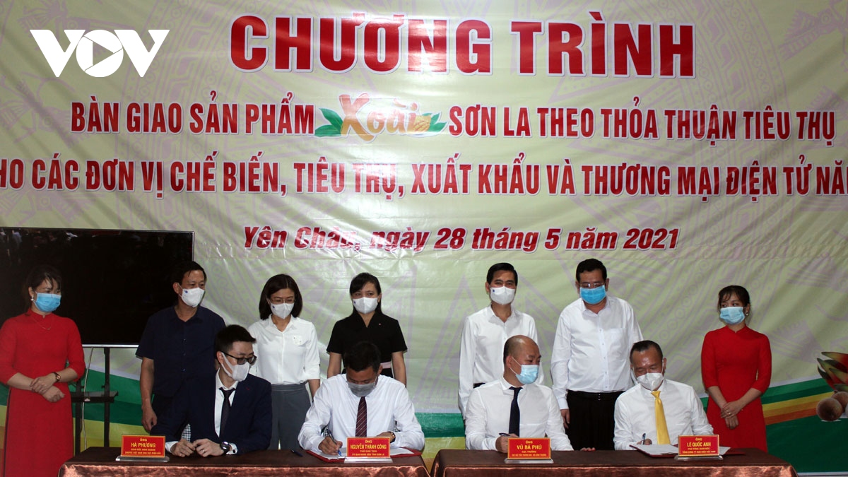 man, xoai son la chinh thuc len san thuong mai dien tu hinh anh 1