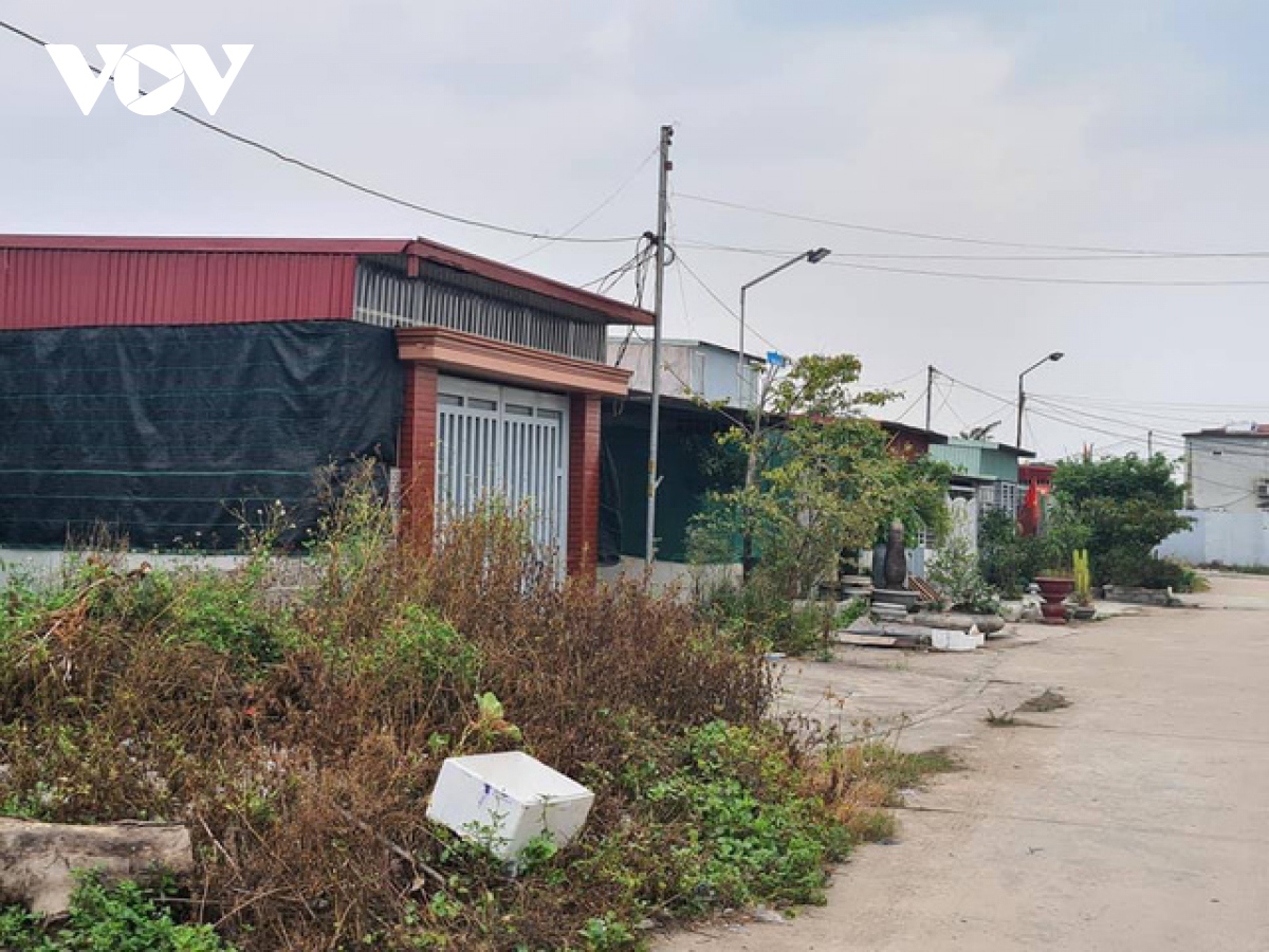 vu cuong che 9,2 ha dat lan chiem tai hai phong do chinh quyen co so lam ngo cho vi pham hinh anh 2